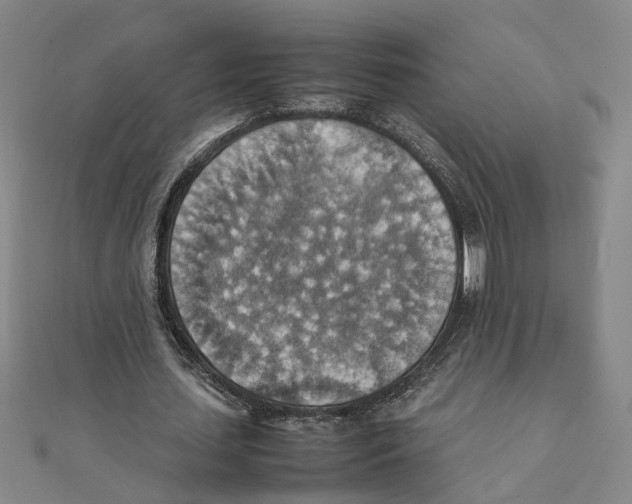 X0000111350627200908071133