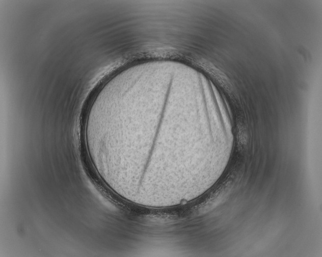 X0000111350630200908071133