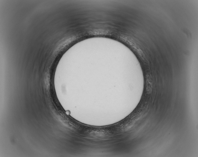 X0000111350631200908071133