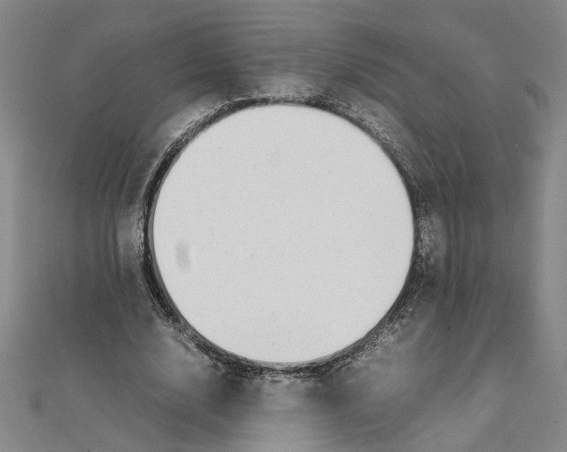 X0000111350632200908071133