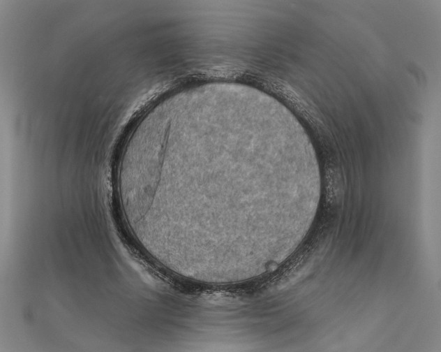 X0000111350634200908071133