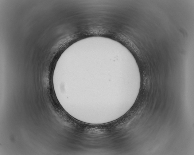 X0000111350635200908071133
