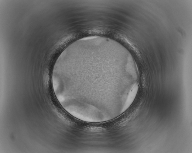 X0000111350637200908071133