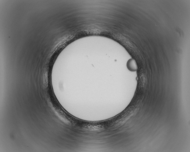 X0000111350638200908071133
