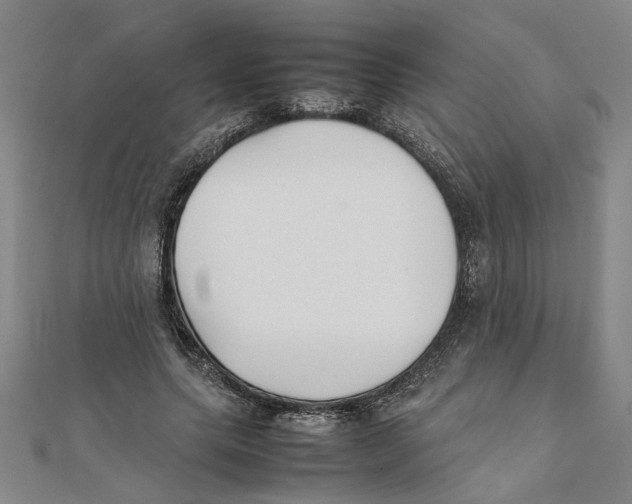 X0000111350639200908071133