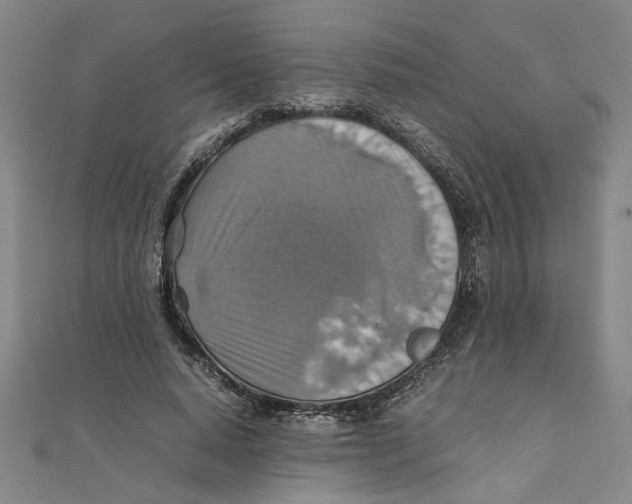 X0000111350640200908071133