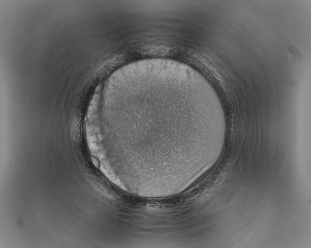 X0000111350641200908071133