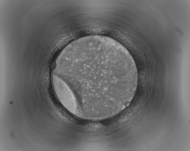 X0000111350642200908071133