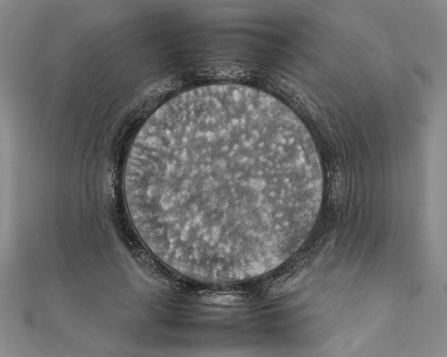 X0000111350643200908071133