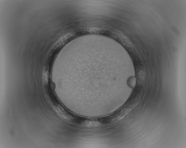 X0000111350644200908071134