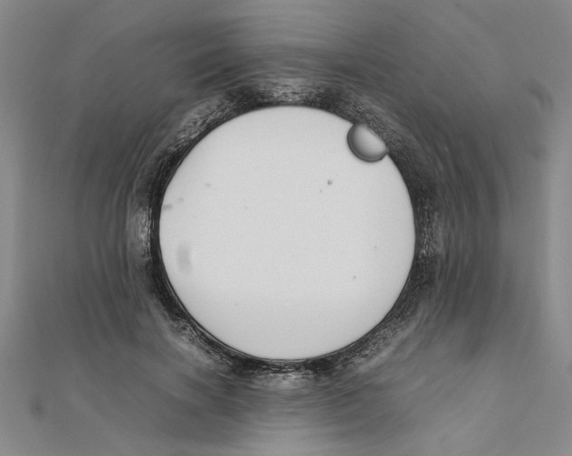 X0000111350646200908071134
