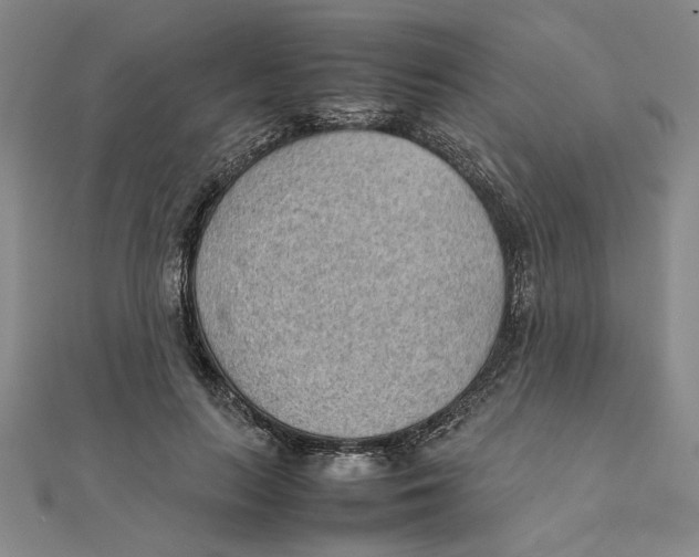 X0000111350647200908071134