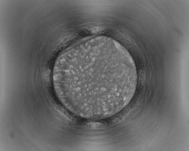 X0000111350650200908071134