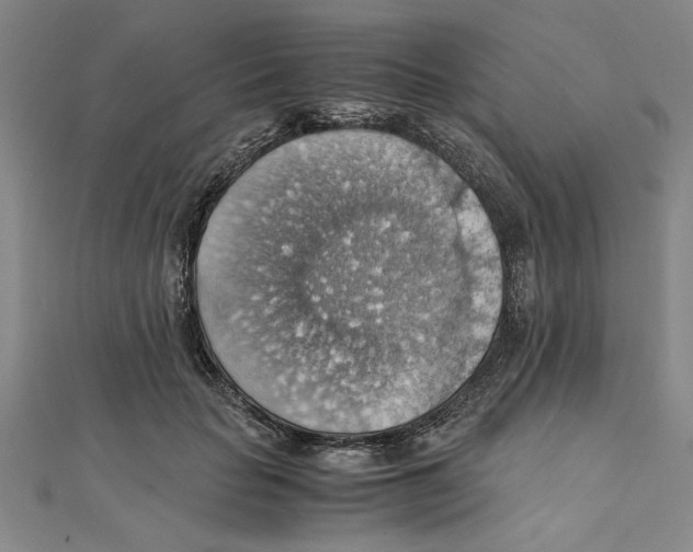 X0000111350653200908071134