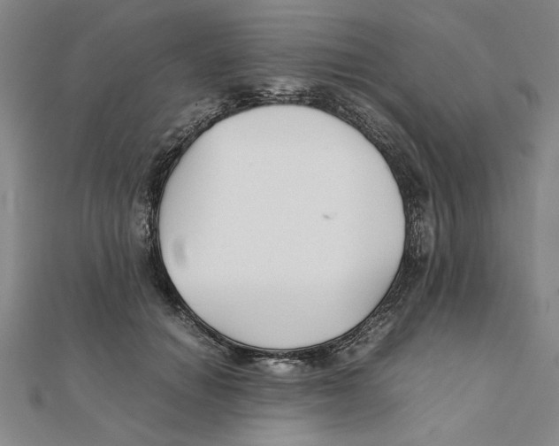 X0000111350654200908071134