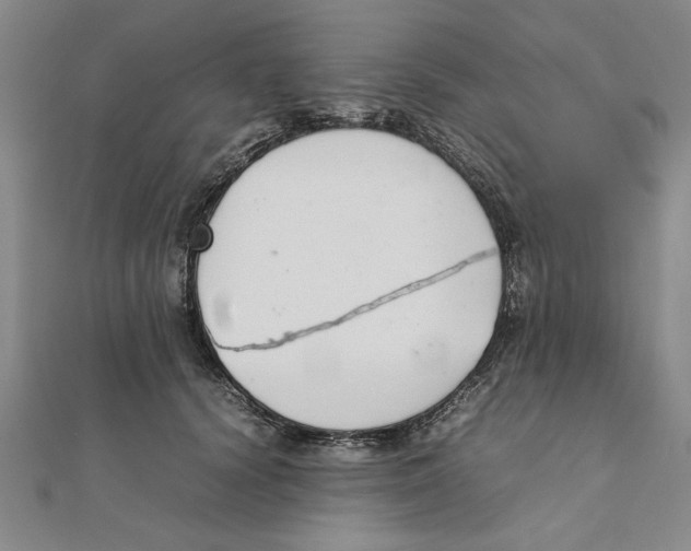 X0000111350656200908071134