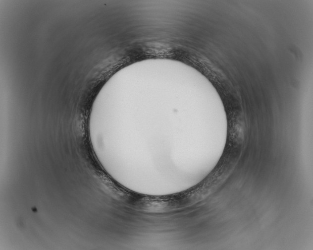 X0000111350658200908071134