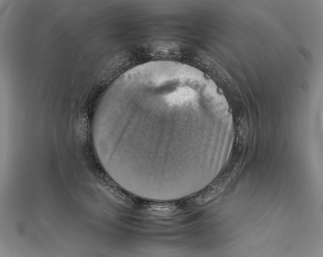 X0000111350659200908071134