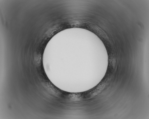 X0000111350660200908071134