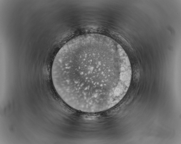 X0000111350661200908071134