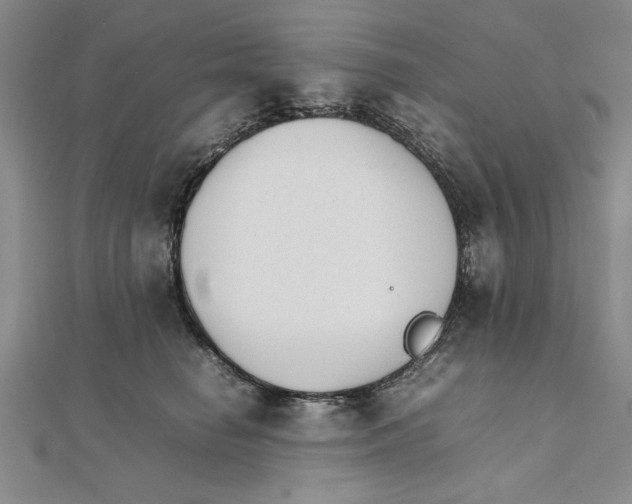 X0000111350662200908071134