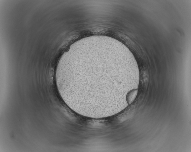 X0000111350664200908071134