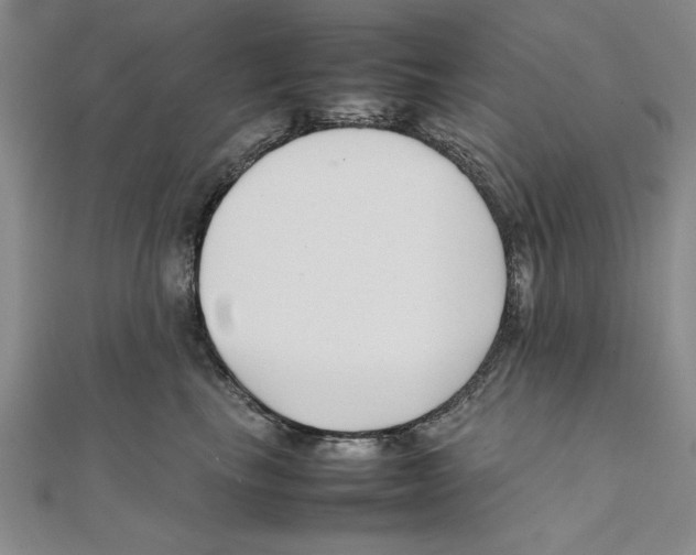X0000111350665200908071134