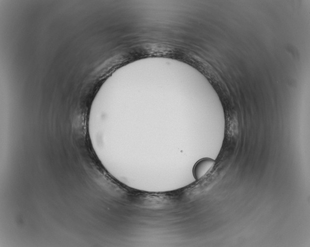 X0000111350666200908071134