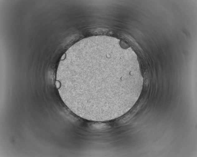 X0000111350669200908071134