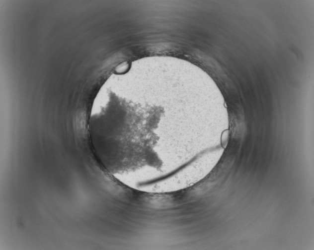 X0000111350670200908071134