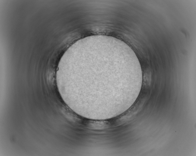 X0000111350671200908071134