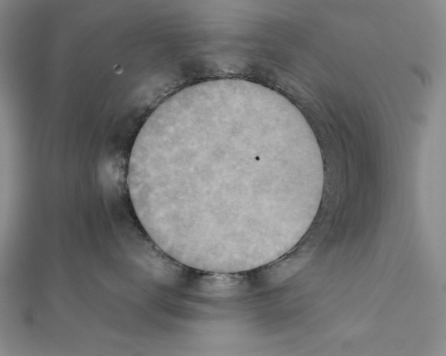 X0000111350672200908071134