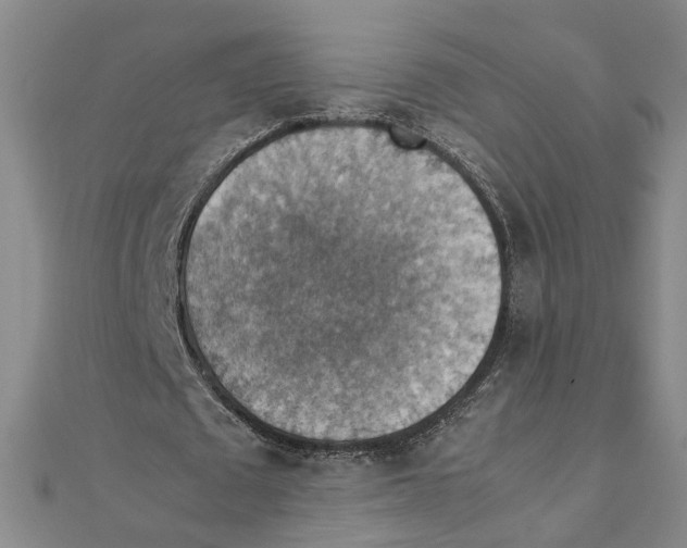 X0000111350673200908071133