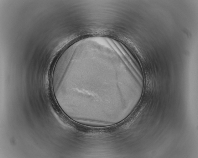 X0000111350674200908071133