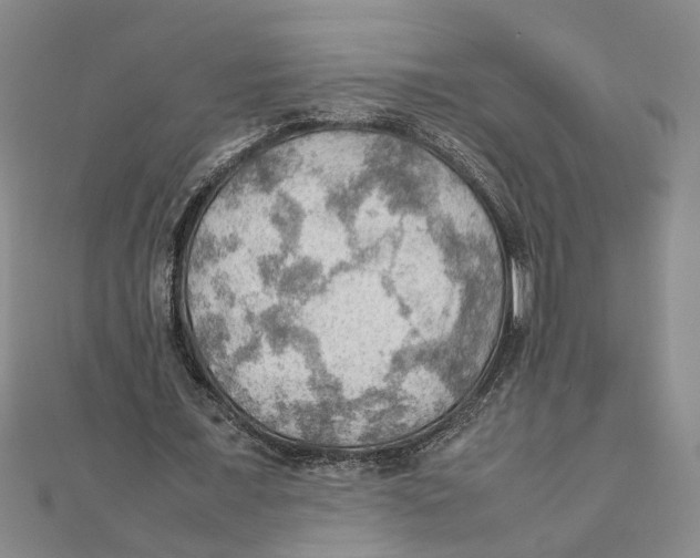 X0000111350675200908071133