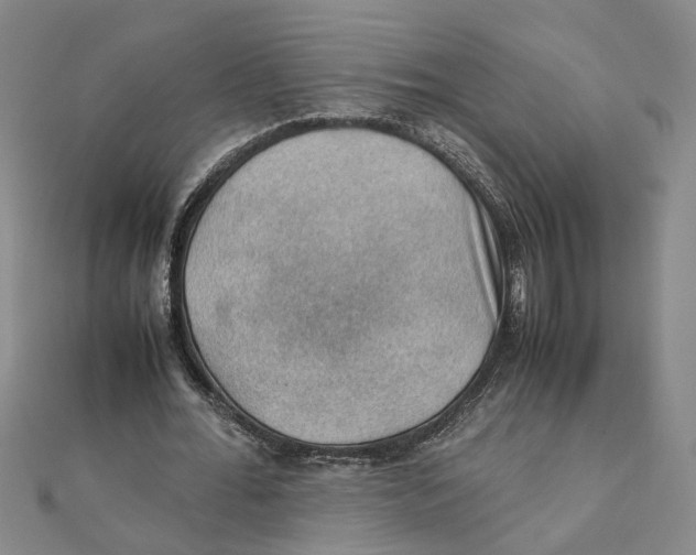 X0000111350676200908071133