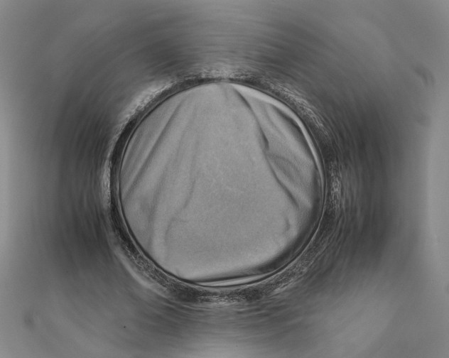 X0000111350678200908071133