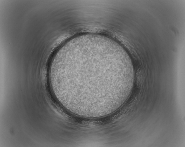 X0000111350679200908071133