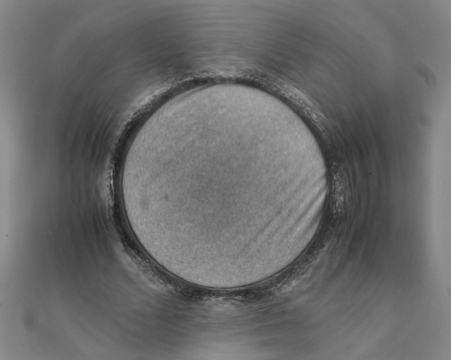 X0000111350680200908071133