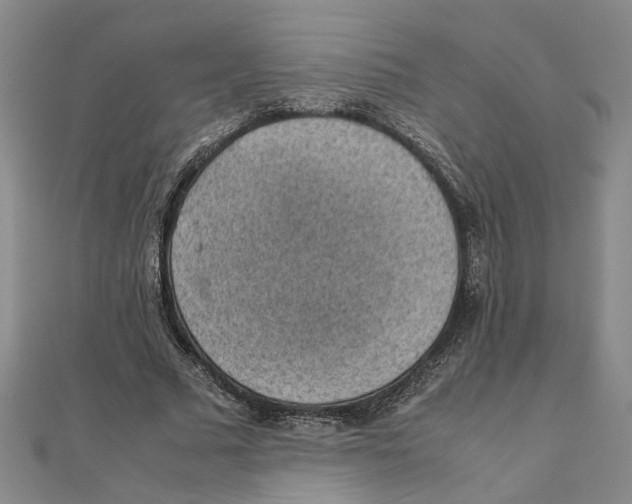 X0000111350681200908071133