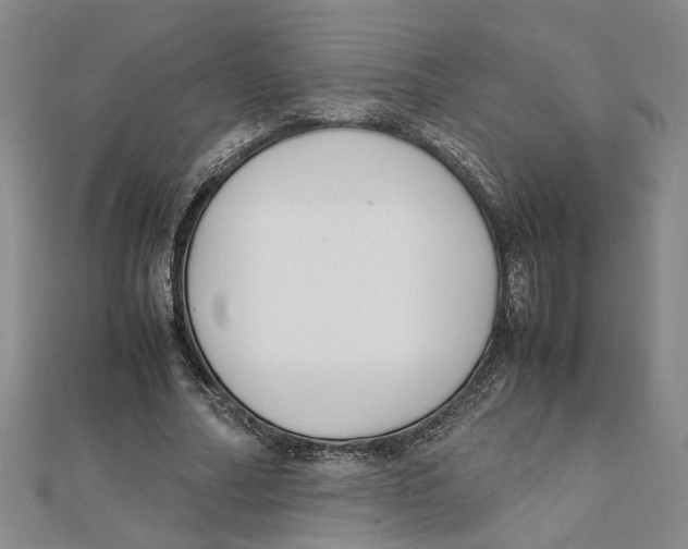 X0000111350682200908071133