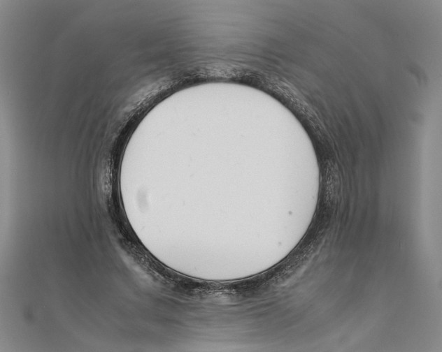 X0000111350683200908071133