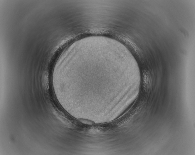 X0000111350684200908071133