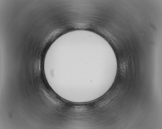X0000111350686200908071133