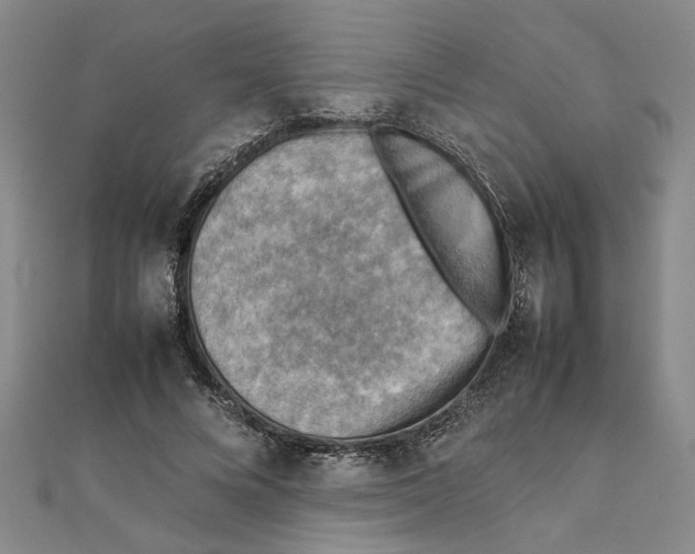 X0000111350688200908071133