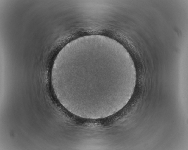 X0000111350689200908071133