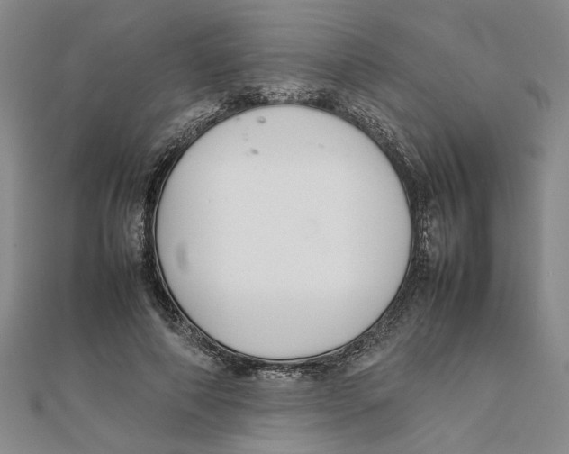 X0000111350690200908071133