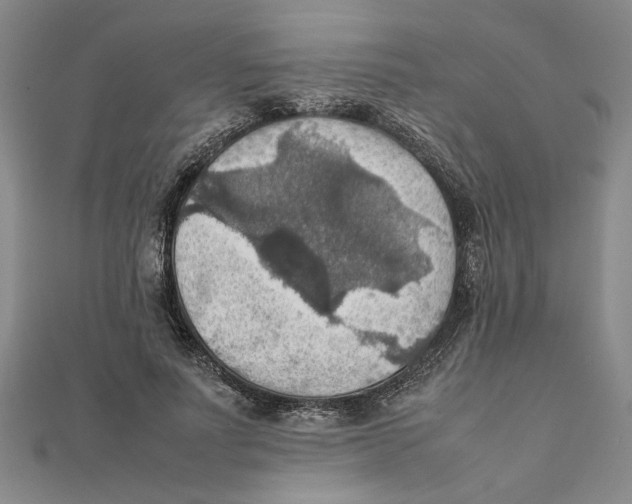 X0000111350691200908071133