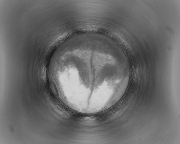X0000111350692200908071133
