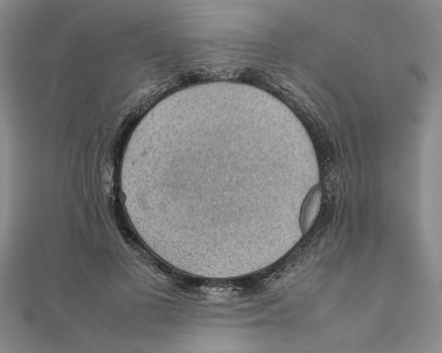 X0000111350693200908071133